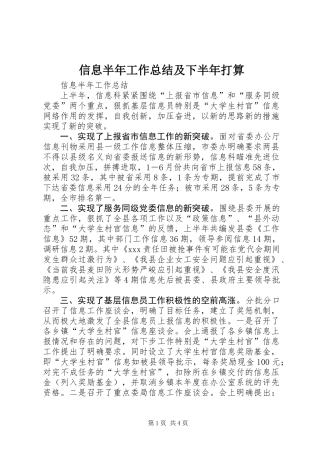 信息半年工作总结及下半年打算