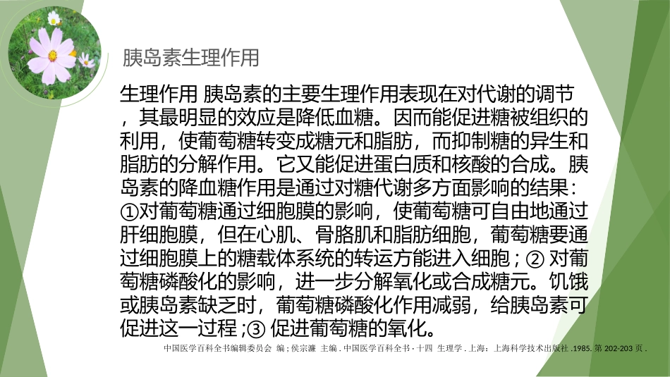 生化讨论胰岛素_第2页