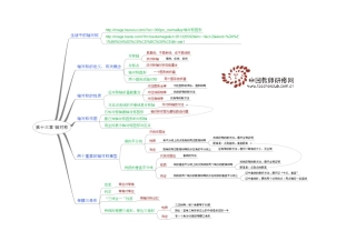 思维导图：轴对称