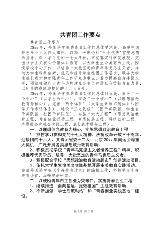 共青团工作要点