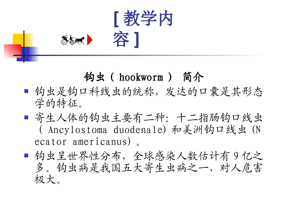 人体寄生虫学——钩虫_第3页