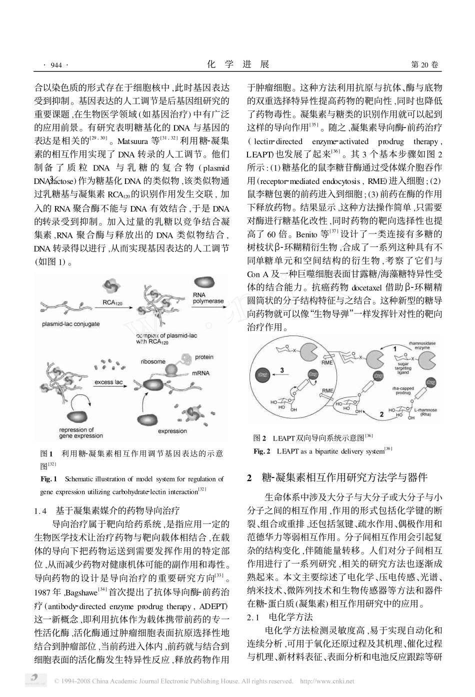 糖-蛋白质相互作用_第3页