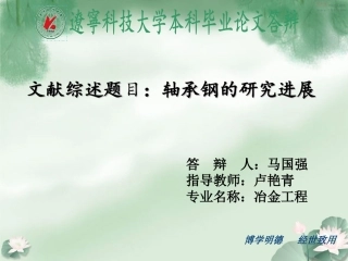 马国强——文献综述答辩稿