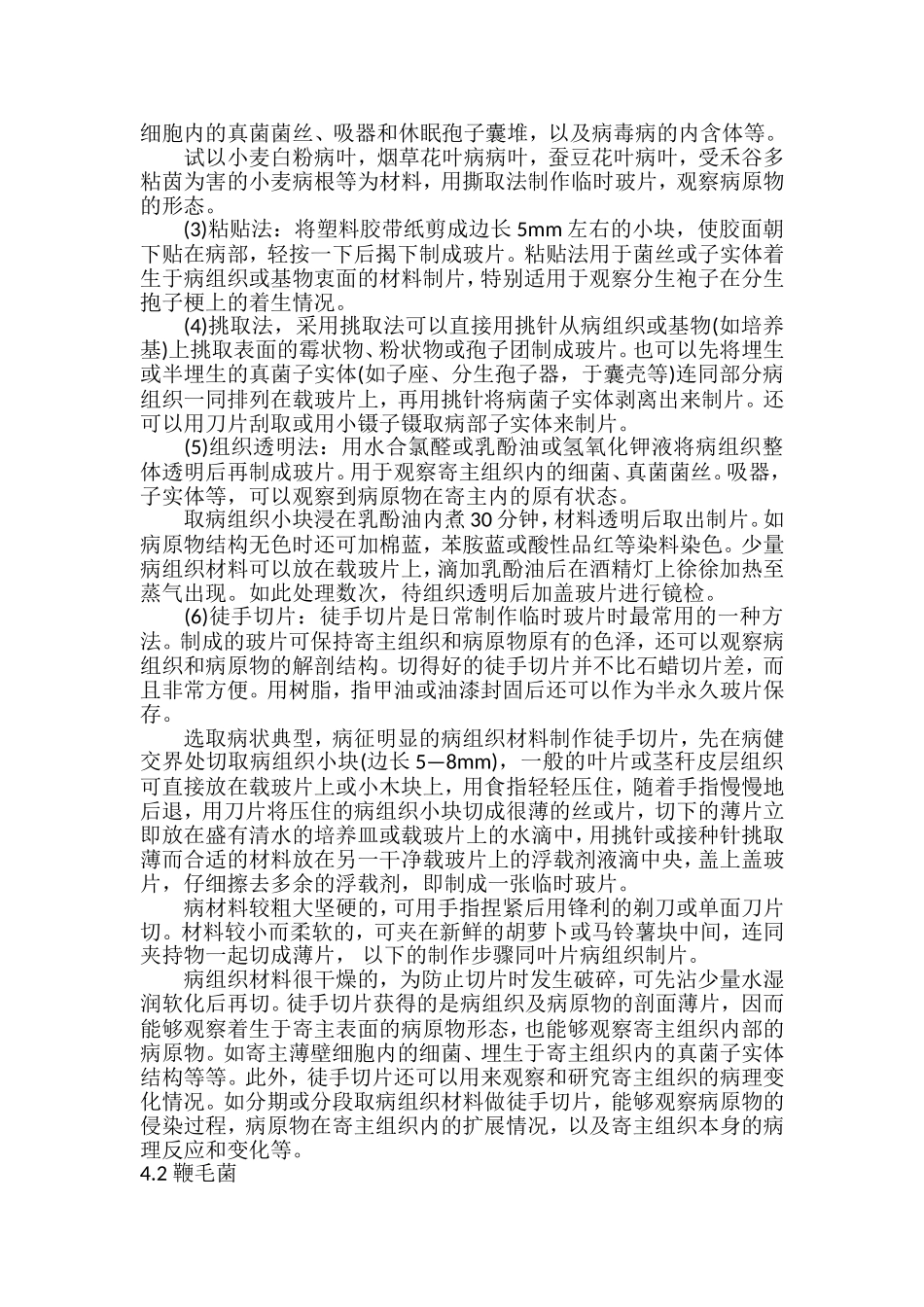 实验二真菌形态观察(一)_第2页