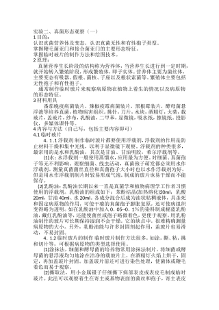 实验二真菌形态观察(一)