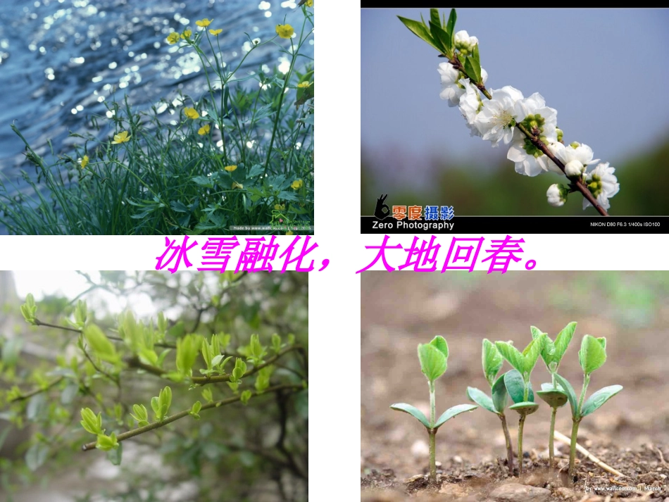 《燕课》第一课时课件_第2页