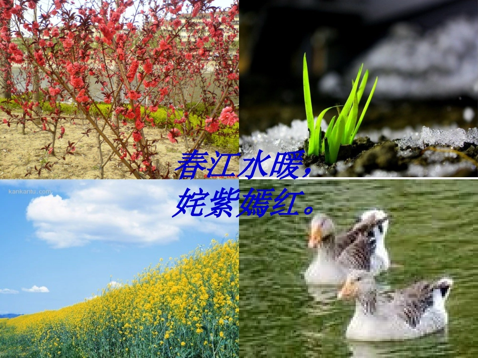 《燕课》第一课时课件_第3页