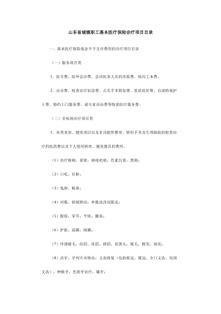 山东省医保目录