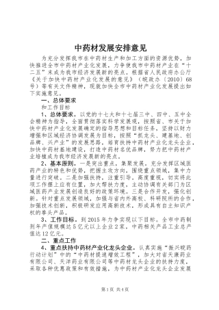 中药材发展安排意见