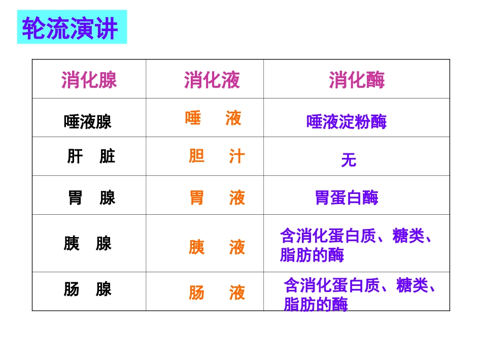 食物消化吸收的过程_第3页