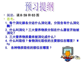 食物消化吸收的过程