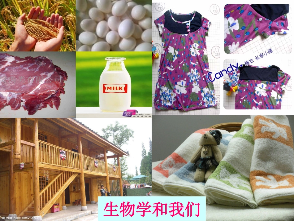 从生物圈到细胞一课时_第2页