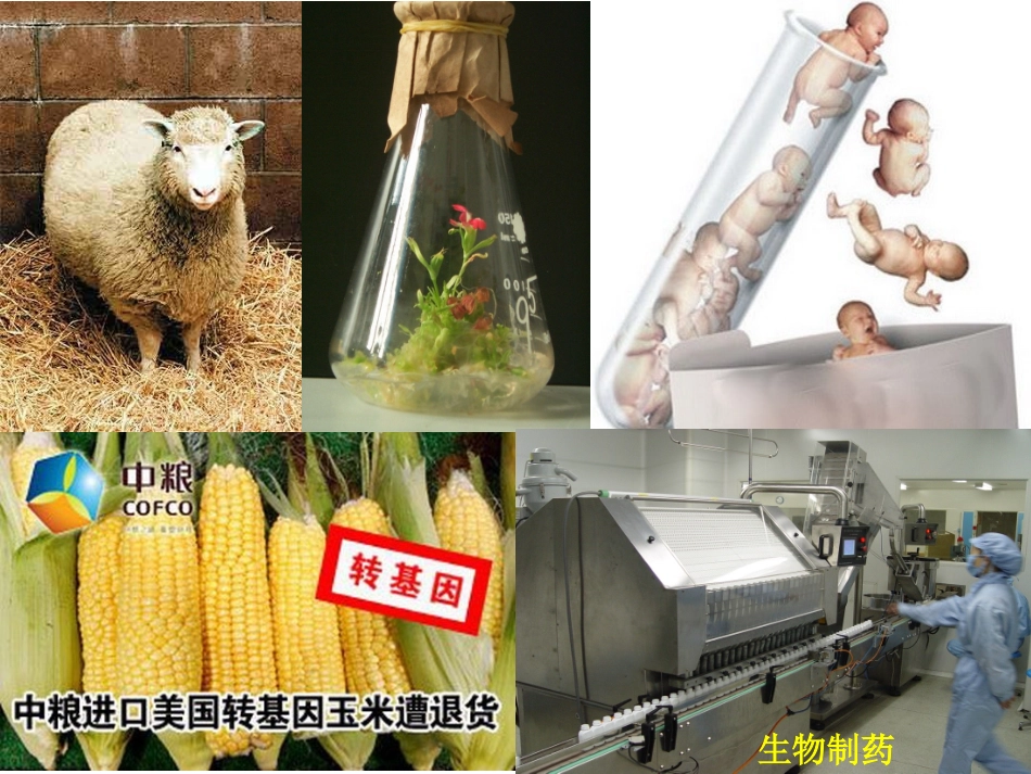 从生物圈到细胞一课时_第3页