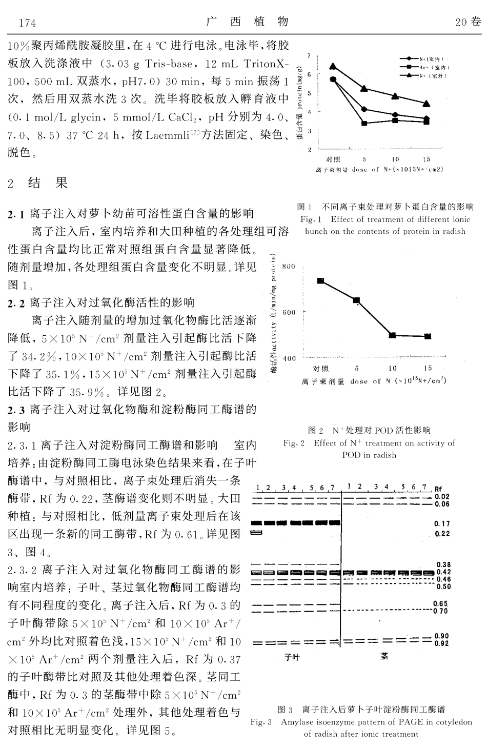 离子注入对萝卜过氧化物酶、淀粉酶和蛋白酶同工酶的影响_第3页
