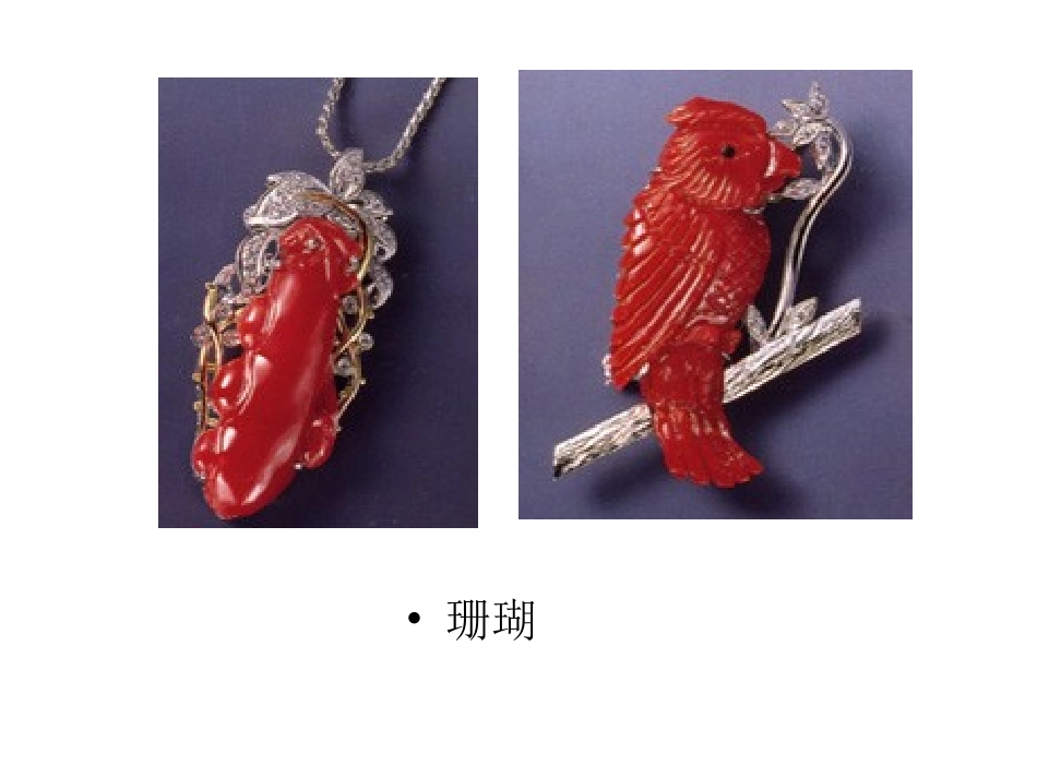 珊       瑚_第2页