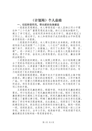 (计划局)个人总结