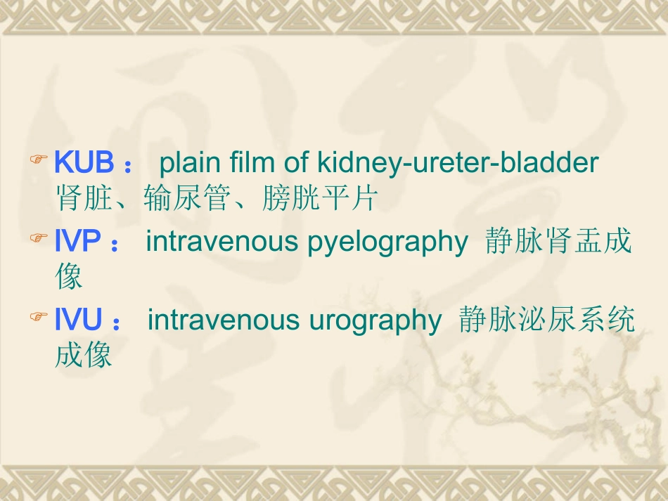 如何看KUB IVP_第2页