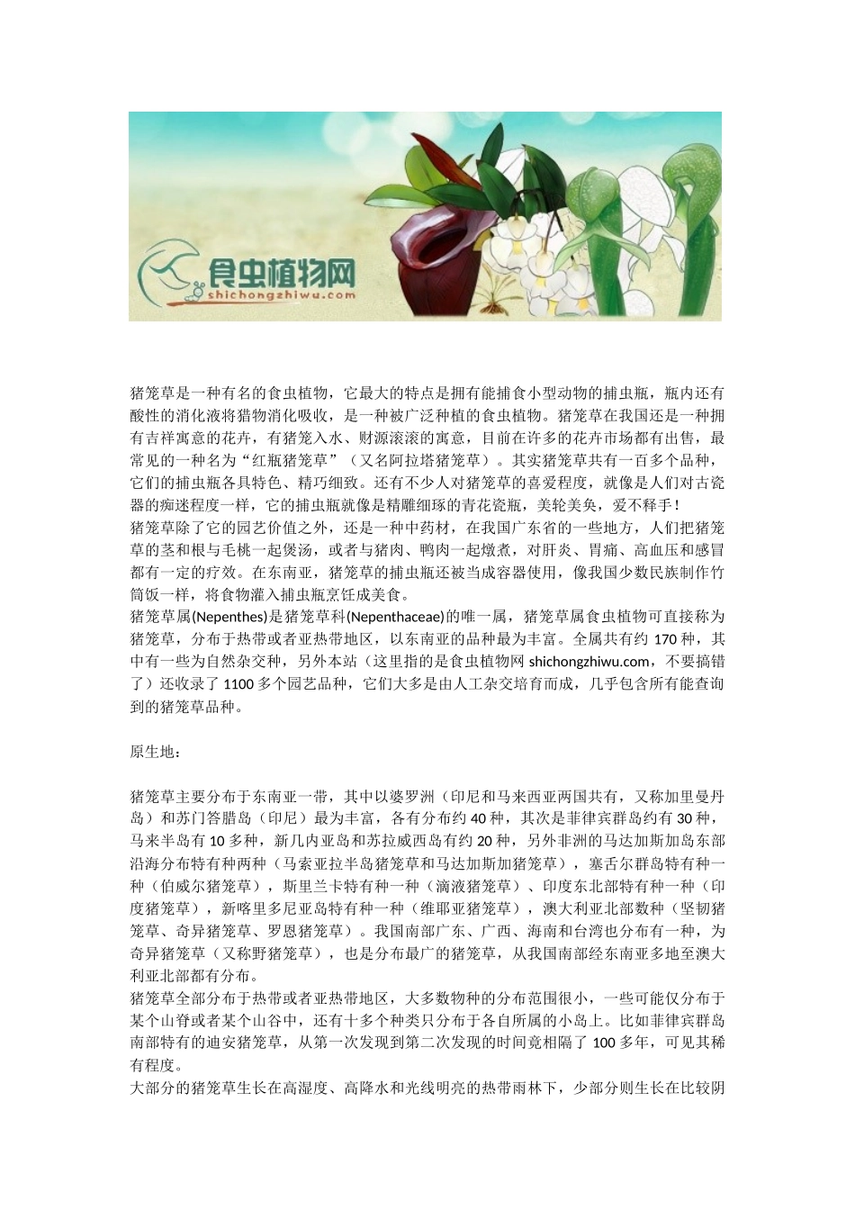 认识猪笼草 - 猪笼草科(Nepenthaceae)中的猪笼草属(Nepenthes) - 食虫植物资料_第1页