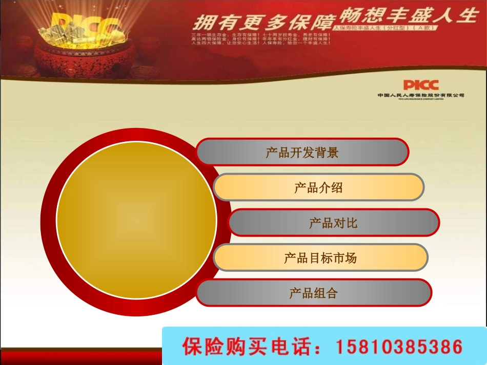 人保寿险丰盛人生终身寿险_第2页