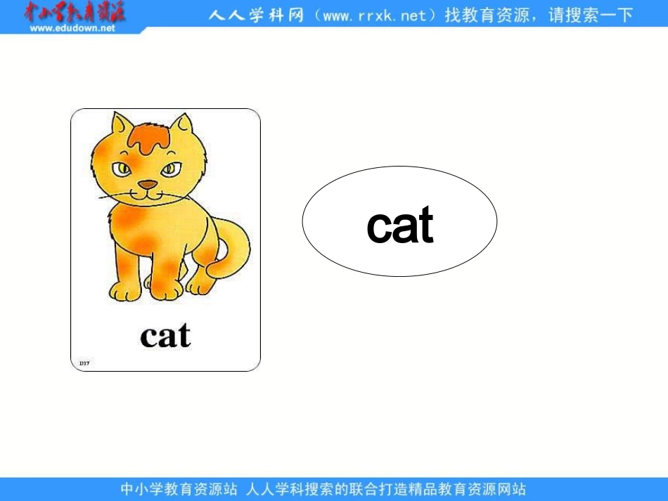 人教新起点英语一上《Unit3Animals》(lesson13)课件_第2页
