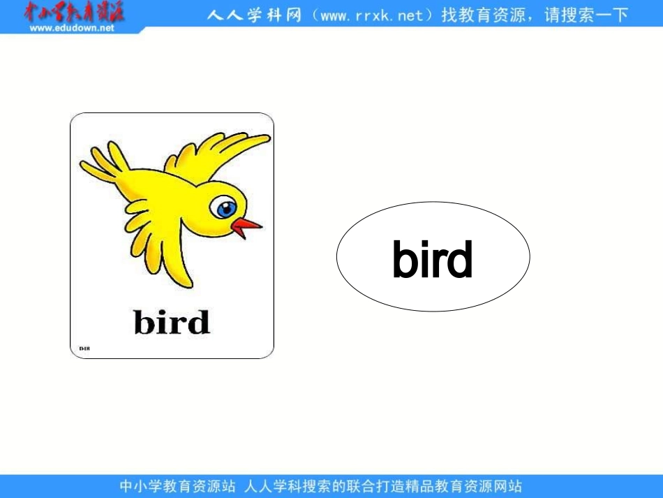 人教新起点英语一上《Unit3Animals》(lesson13)课件_第3页
