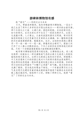 游碑林博物馆有感 