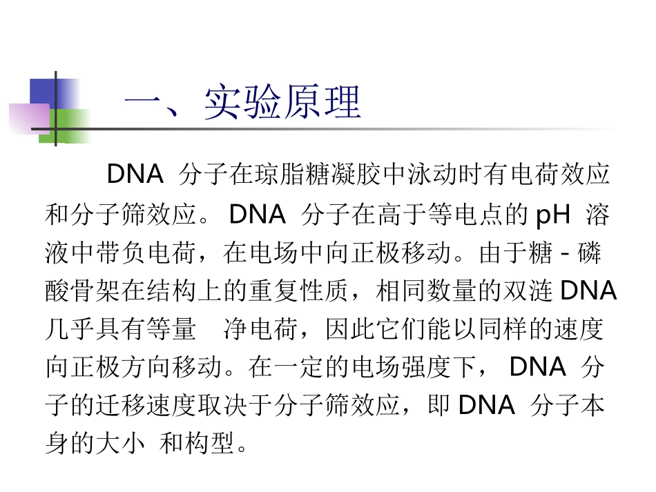 琼脂糖凝胶电泳检测DNA_第2页