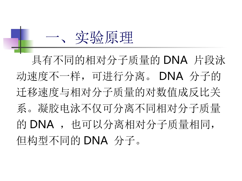 琼脂糖凝胶电泳检测DNA_第3页