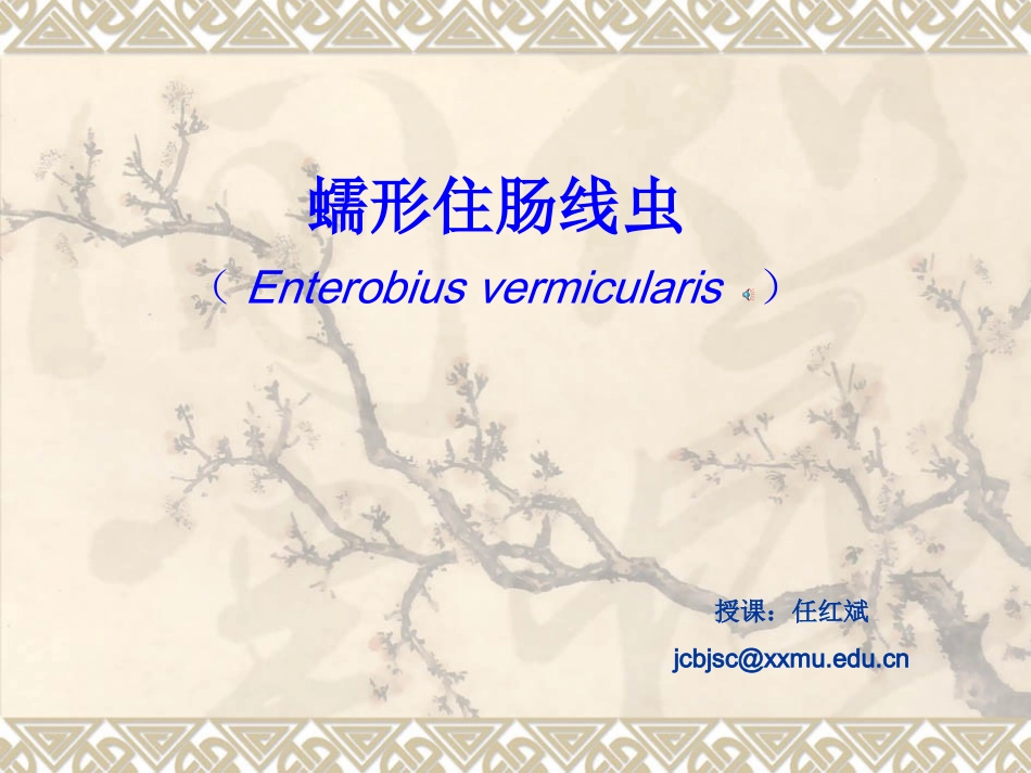 蠕形住肠线虫 (Enterobius vermicularis linnaeu - 新_第1页