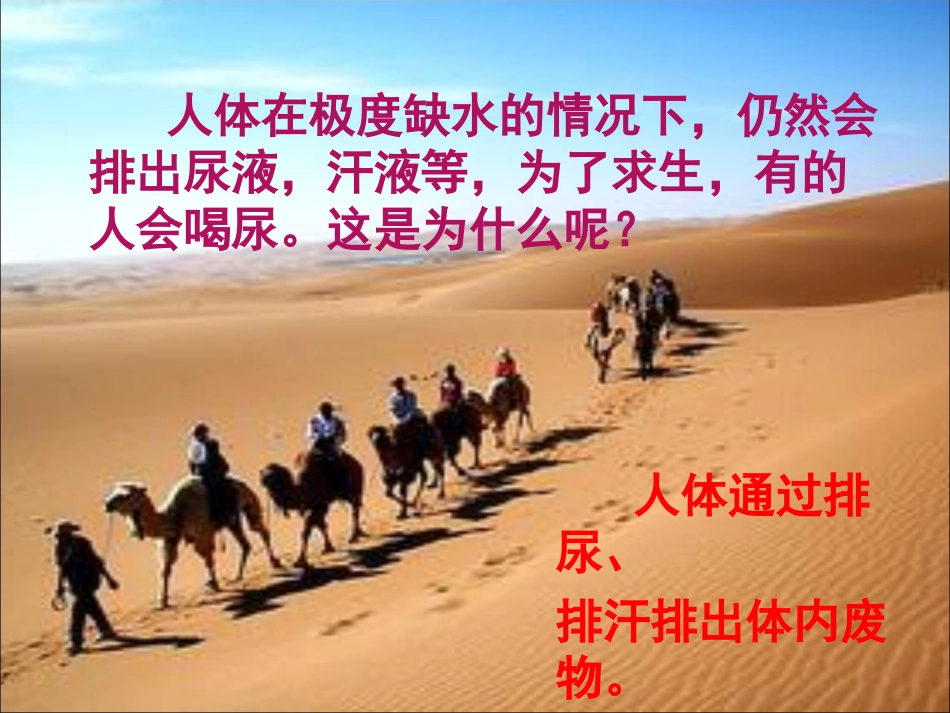 人体内废物的排出课件++23PPT_第1页