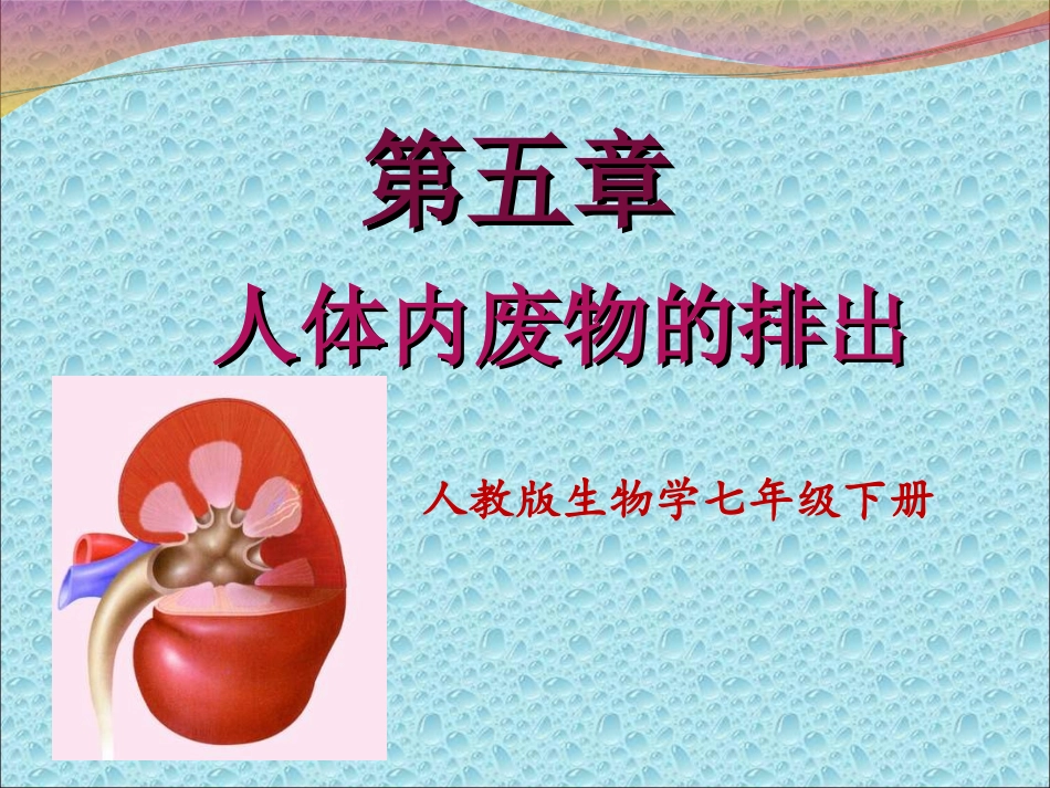 人体内废物的排出课件++23PPT_第2页
