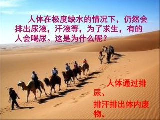人体内废物的排出课件++23PPT