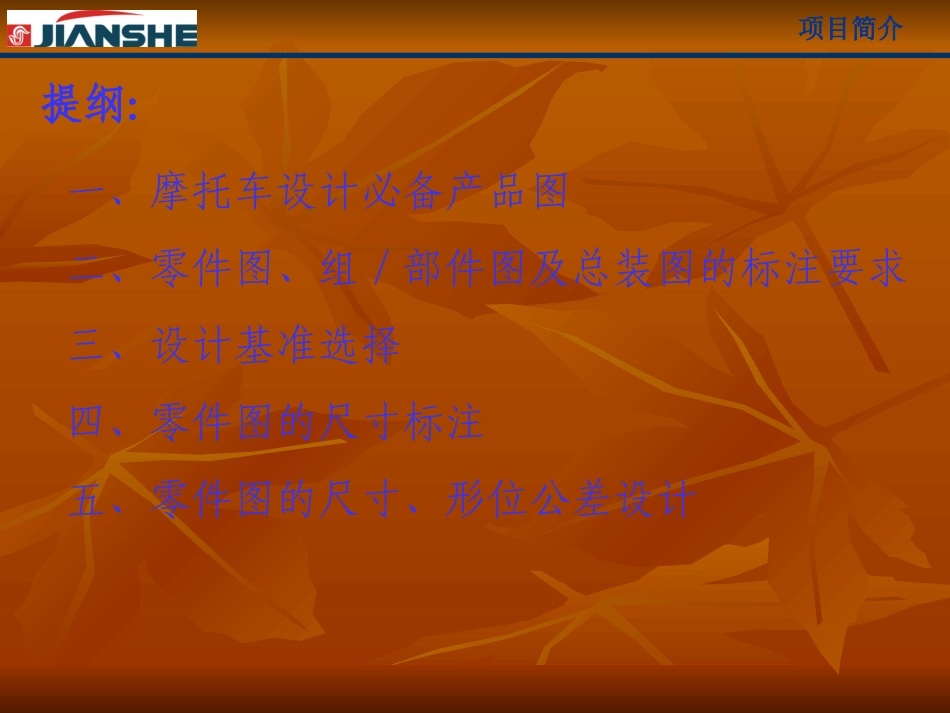 摩托车产品图尺寸及公差标注方法_第2页
