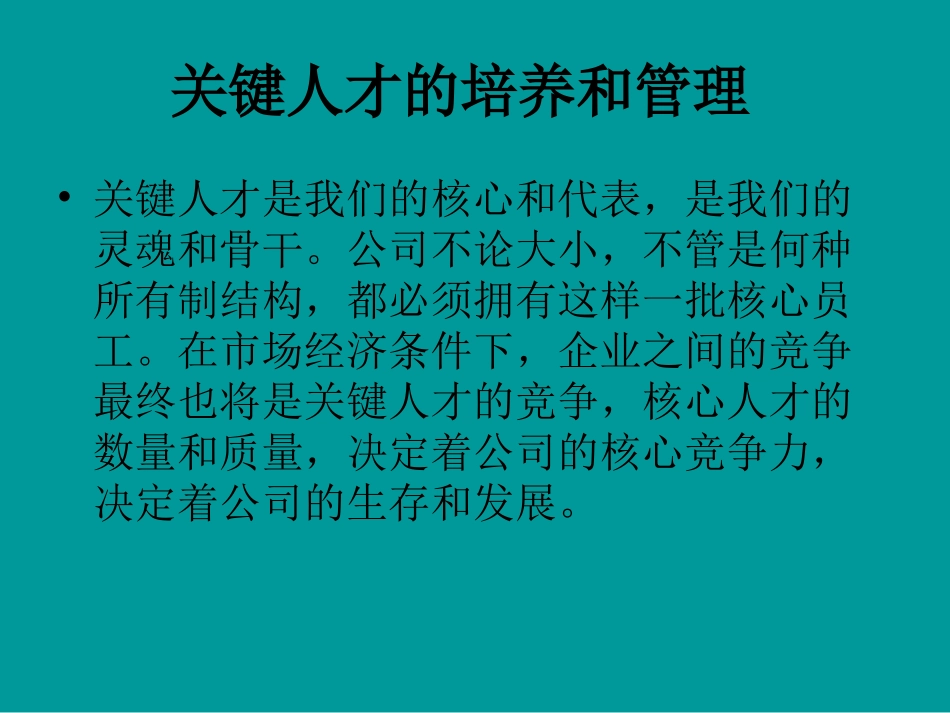 企业十大人才战略规划_第3页