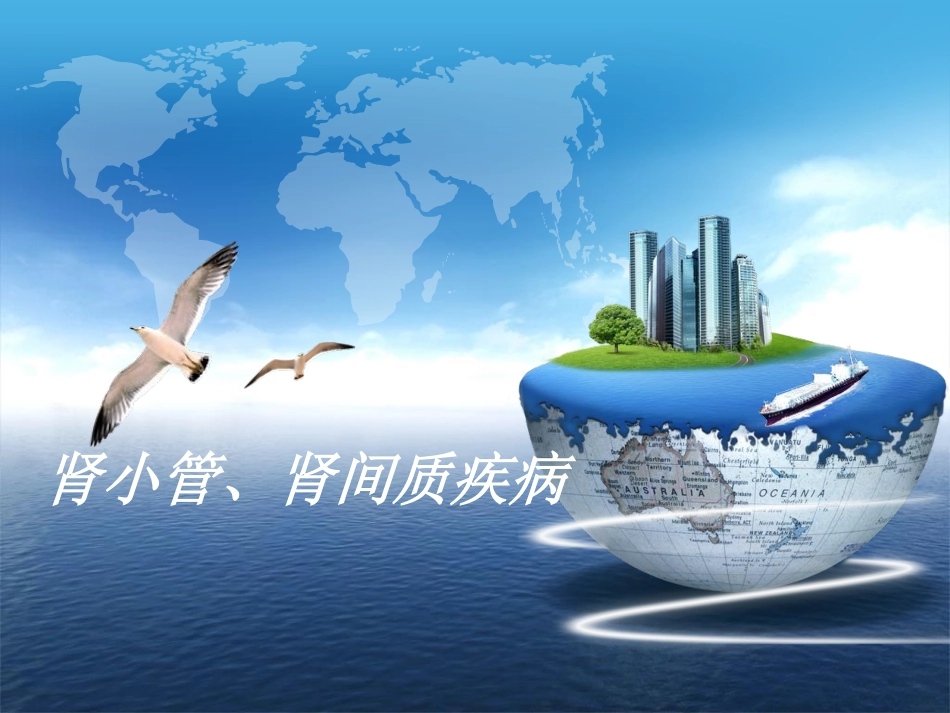 肾小管间质疾病_第1页