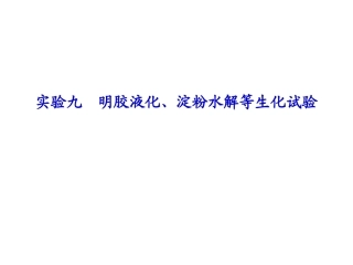 实验九  明胶液化、