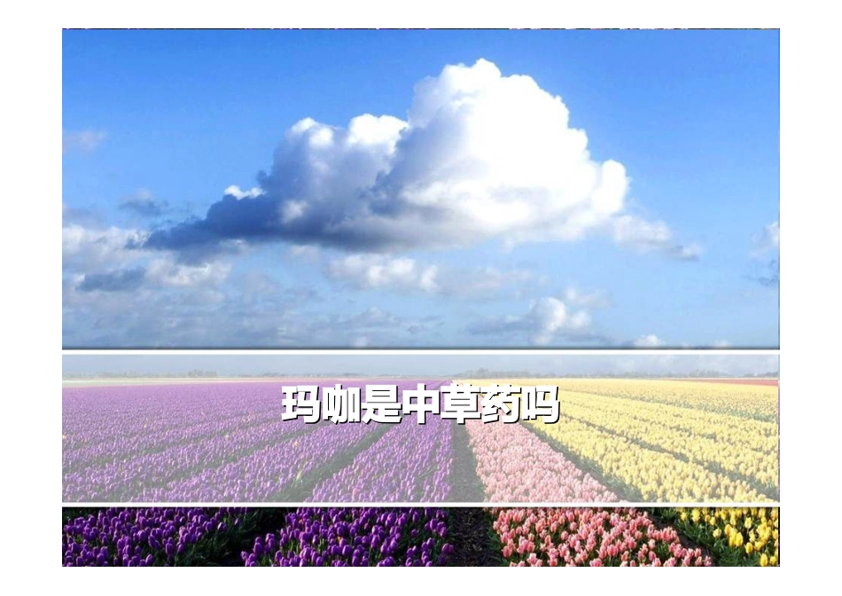 玛咖是中草药吗_第1页