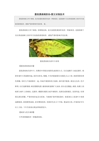 荔枝溃疡病防治-图文识别技术