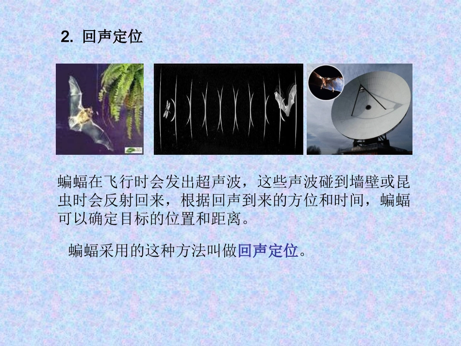 新人教《23声的利用》课件4_第3页