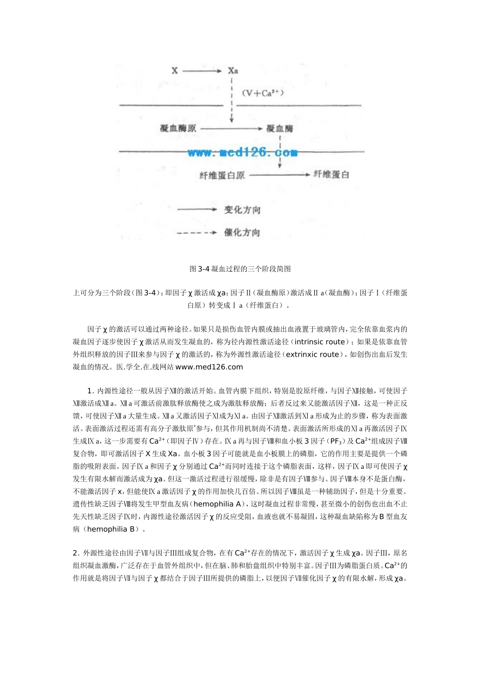 生理止血原理_第3页