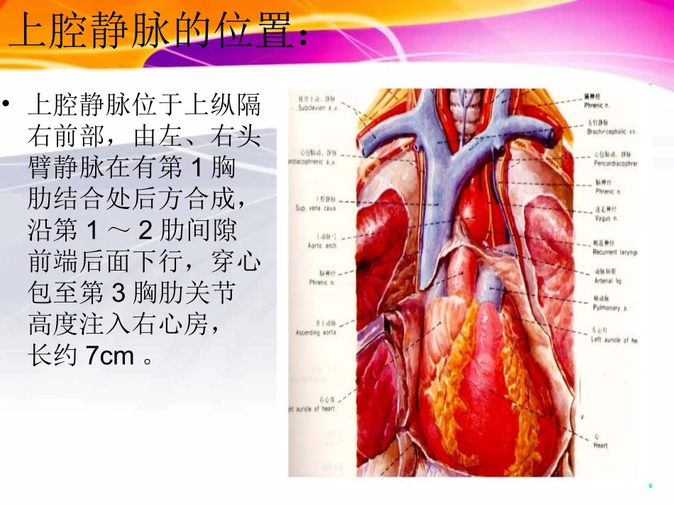 上腔静脉阻塞综合症_第3页