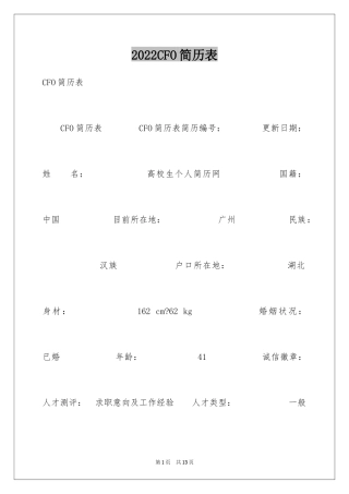 2024CFO简历表