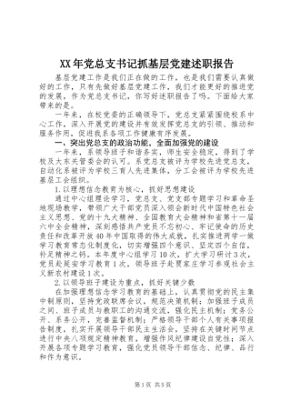 XX年党总支书记抓基层党建述职报告