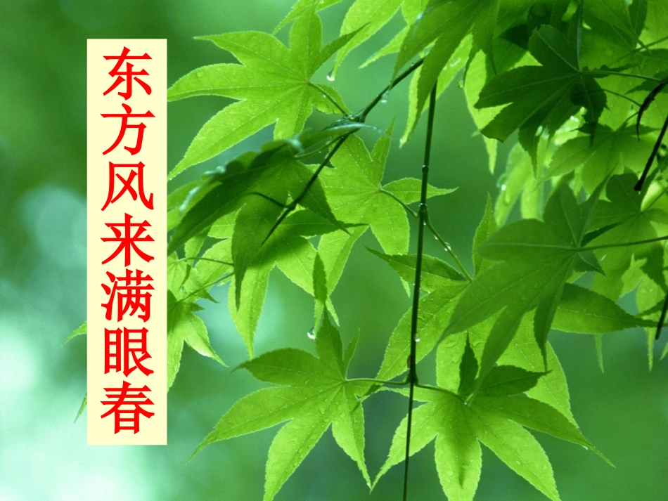 实上：东方风来满眼春_第1页