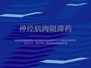 神经肌肉阻滞药