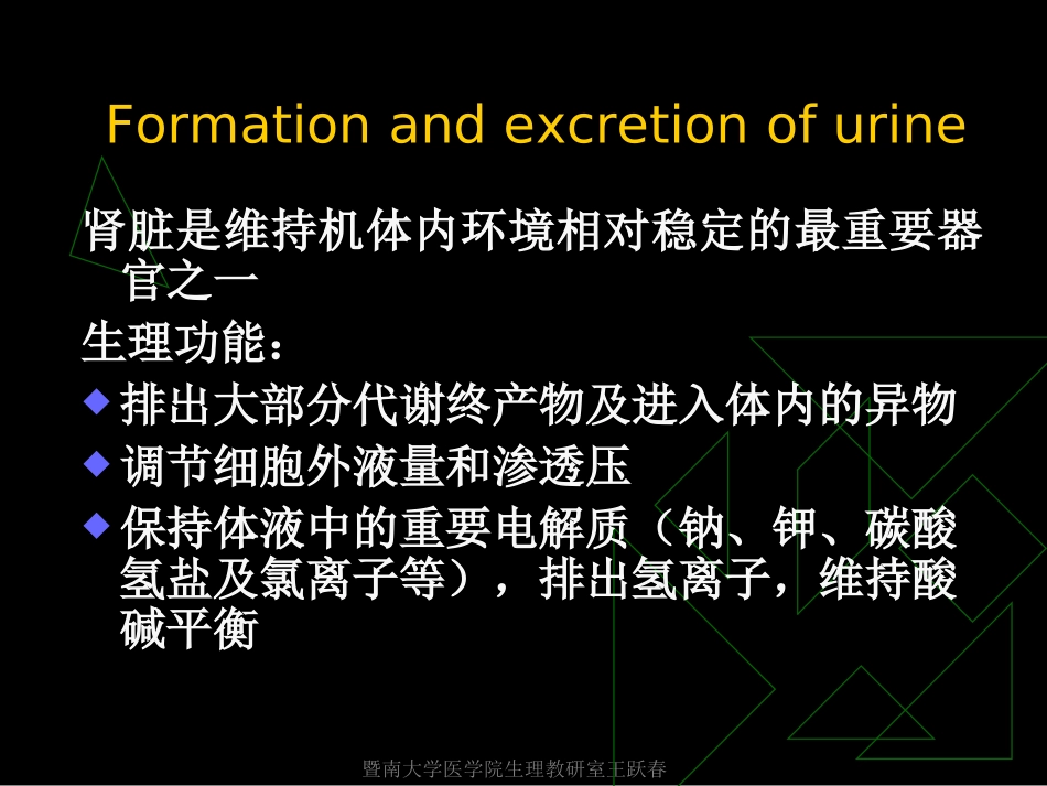 肾脏是维持机体内环境相对稳定的最重要器官之一_第1页