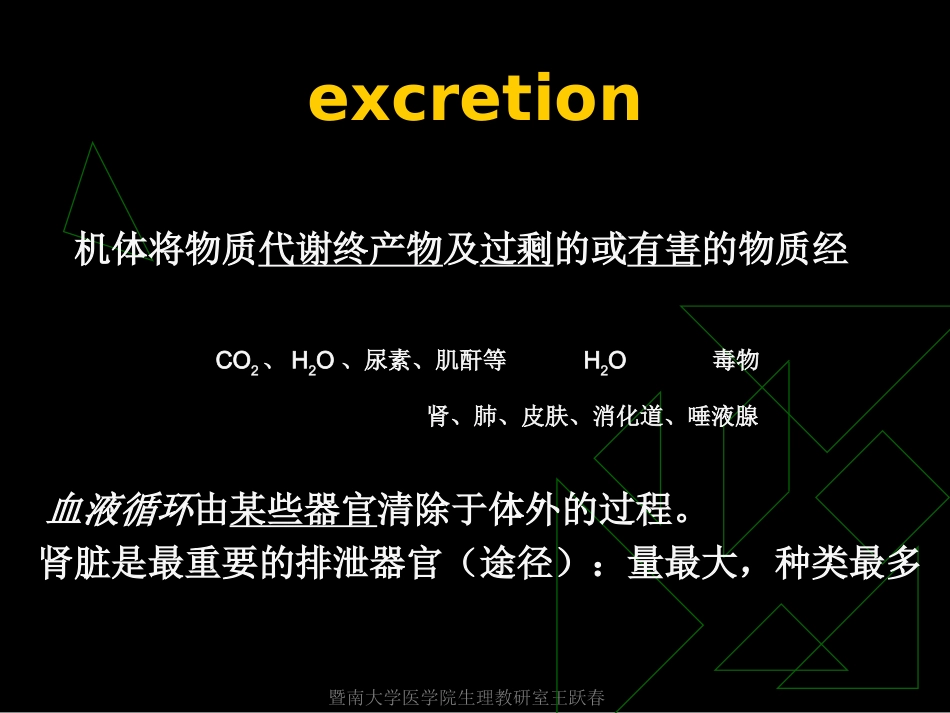 肾脏是维持机体内环境相对稳定的最重要器官之一_第2页