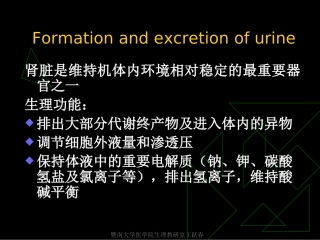 肾脏是维持机体内环境相对稳定的最重要器官之一