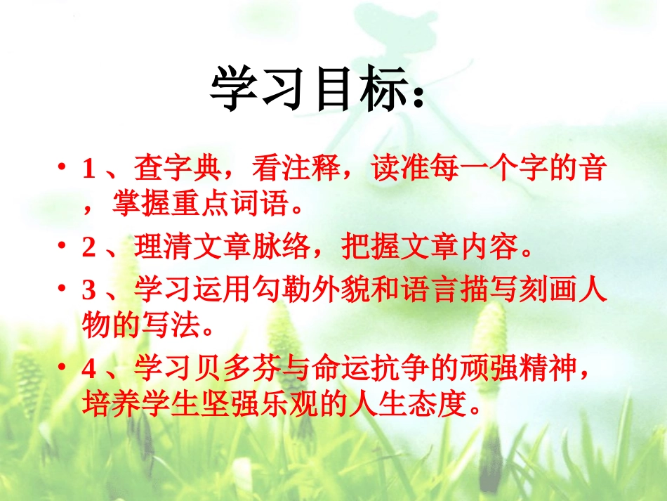 《音乐巨人贝多芬》参考课件3_第2页