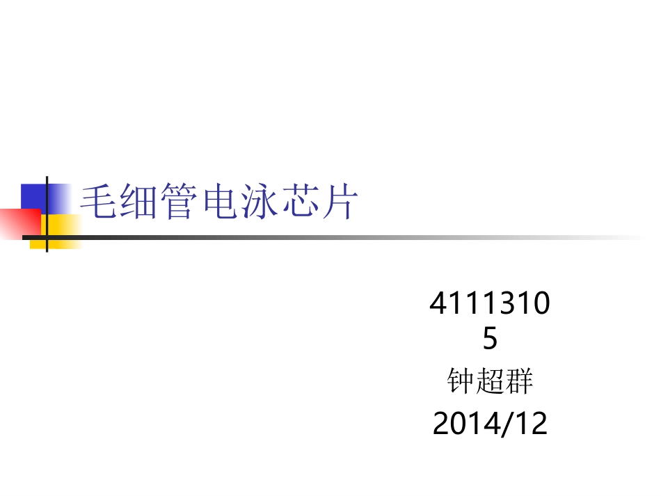 毛细管电泳芯片_第1页